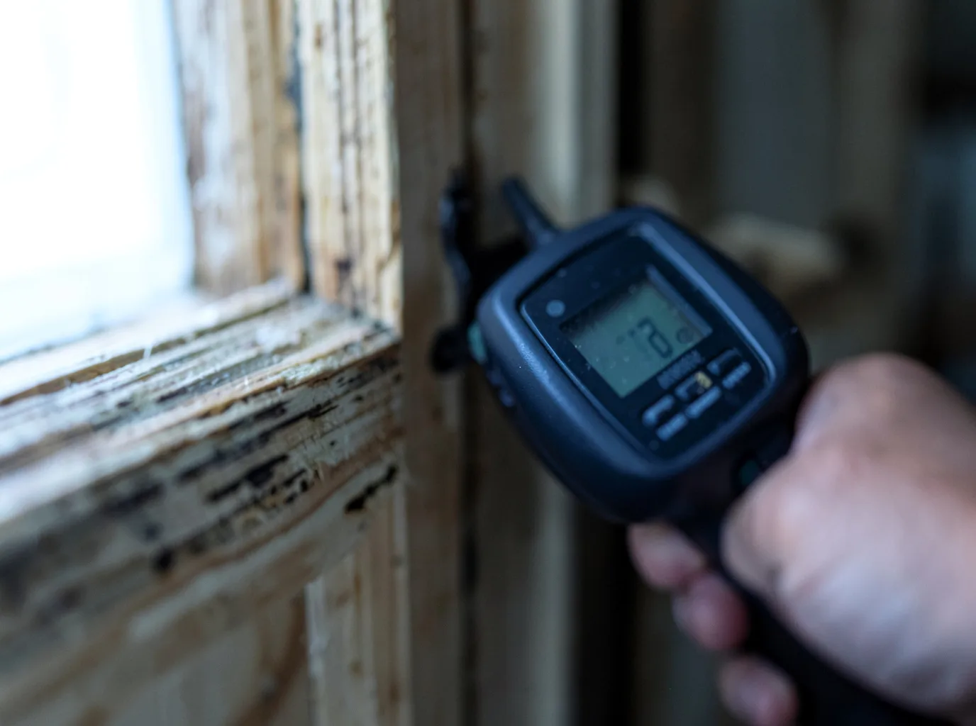 Ceiling Water Damage Repair in Dimondale, MI